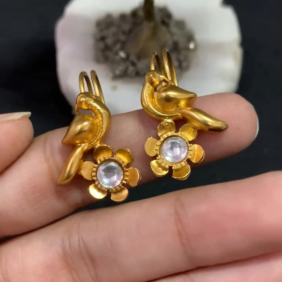 Nayaab anita bugadi earclip