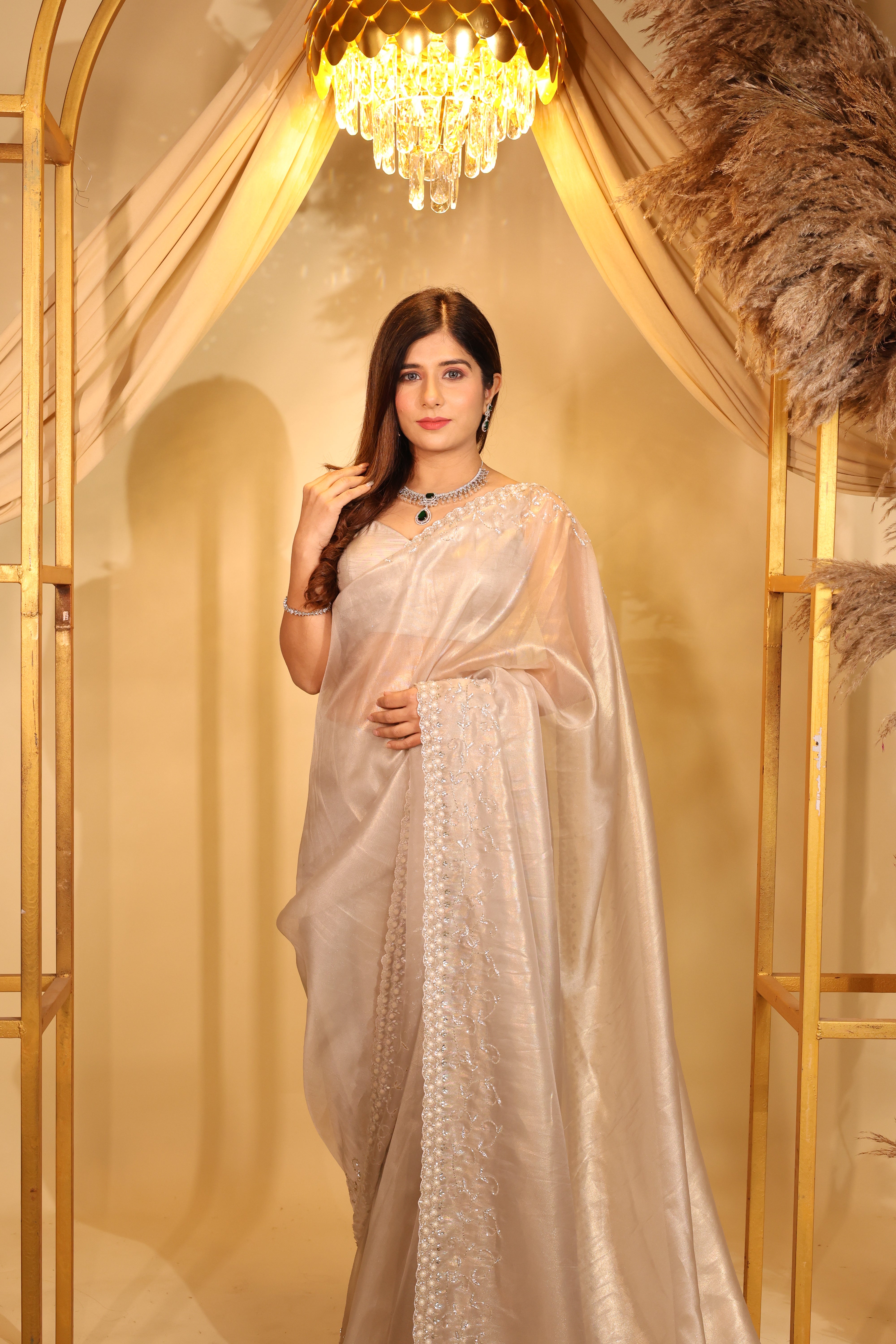 Beige Organza Saree