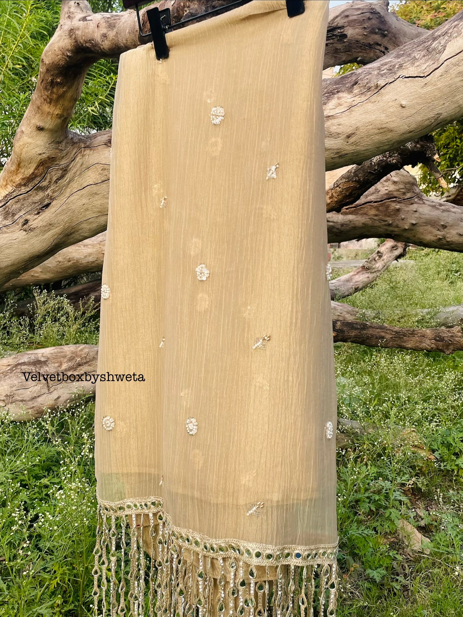 Golden Tissue Mirror Saree