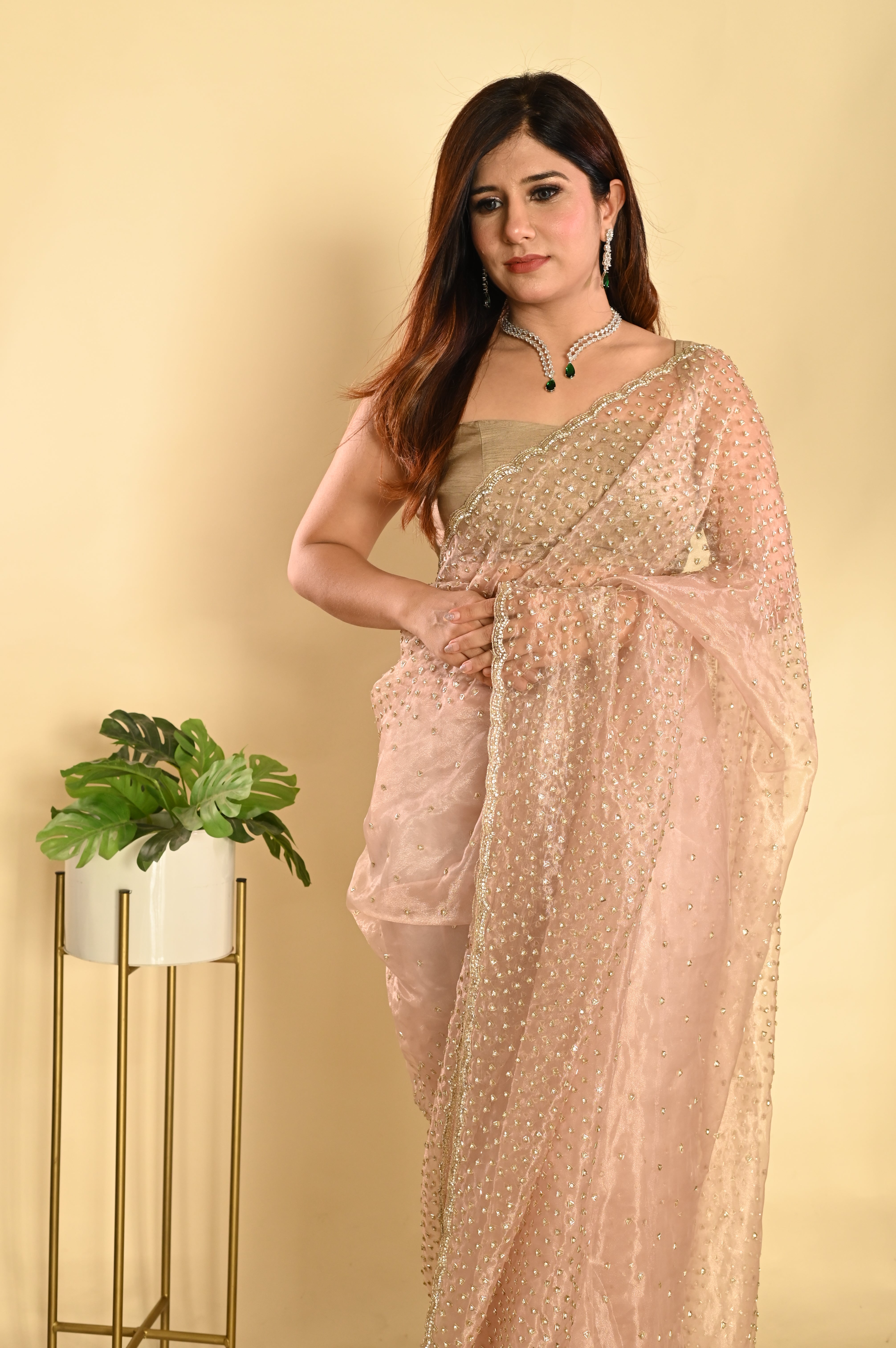 Golden Raina Organza saree