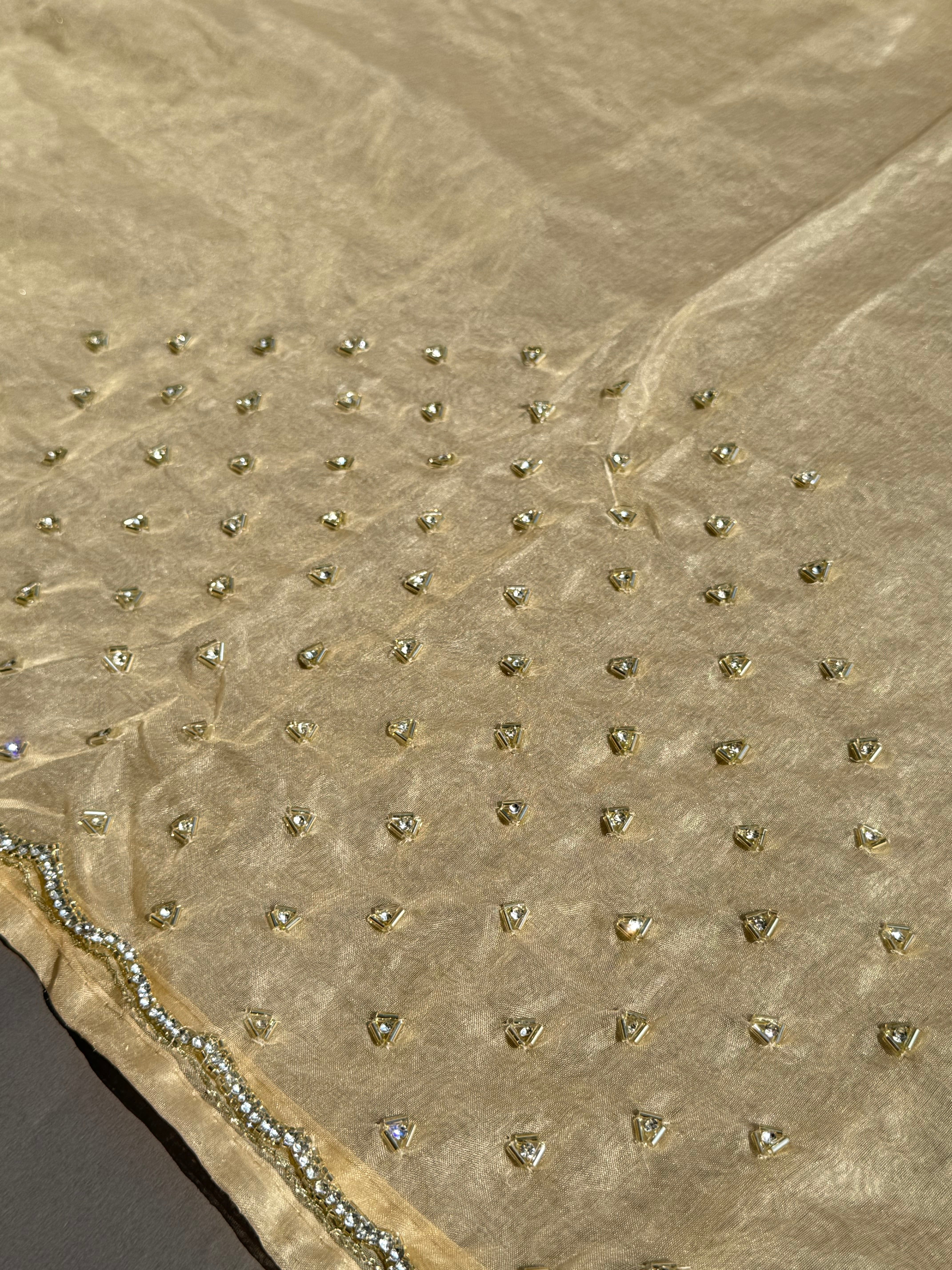 Raina Organza Saree - Yellow